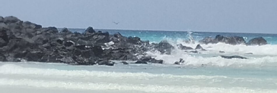 Tortuga Bay Beach Galapagos